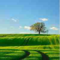 配‌置﻿服﻿务‌器‌端‌程‍序‌